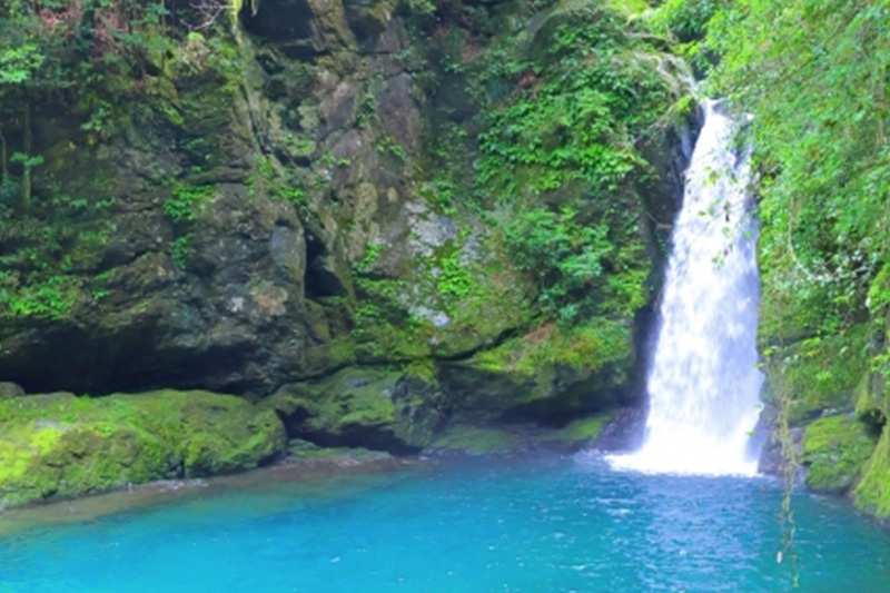 高知県の写真